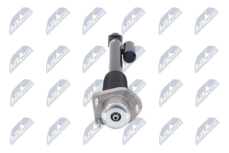 Amort, NTY A-LR-019
