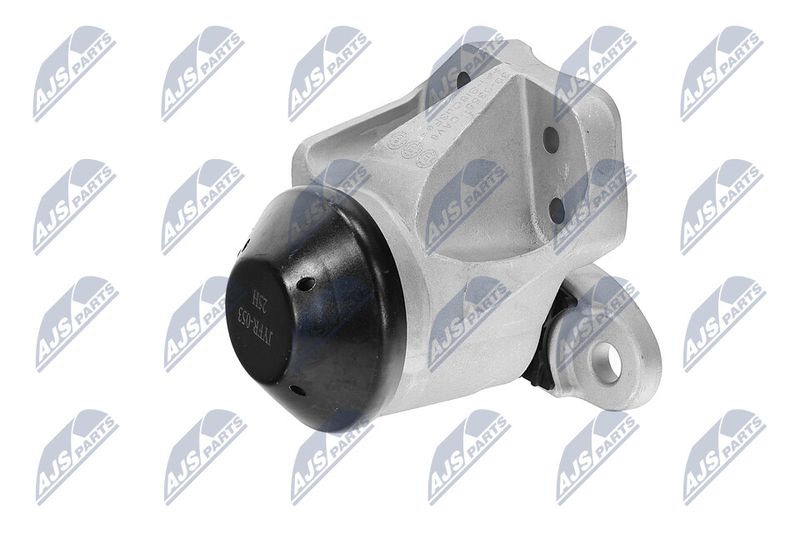 Paigutus, Mootor, NTY ZPS-FR-053