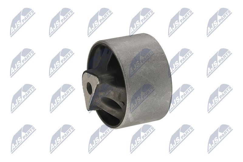 Paigutus, Mootor, NTY ZPS-CH-040