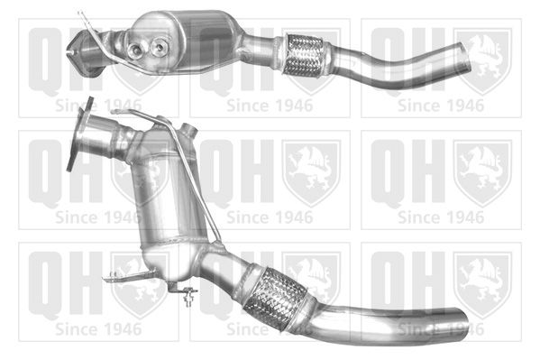 QH_QCAT80487H.JPG