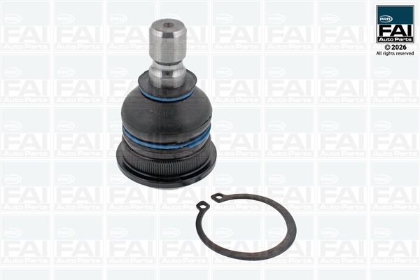 FAI AutoParts Šarnyras / girgždukas