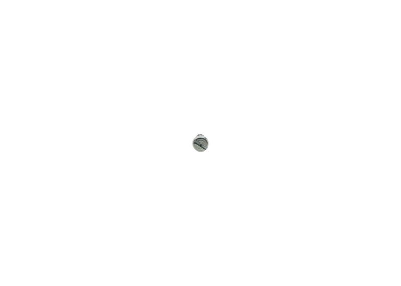 Surub 1 423 410 033 BOSCH