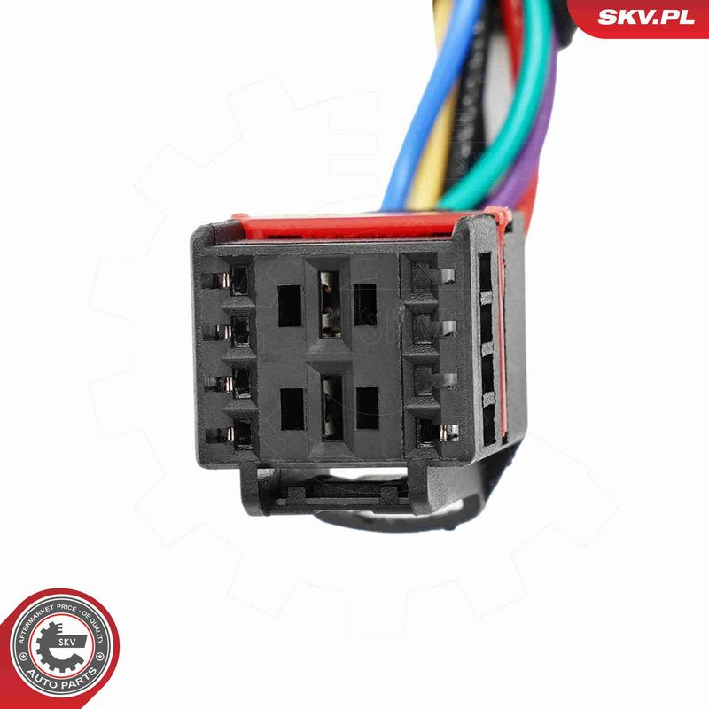 ESEN SKV 52SKV290 Electric Motor, tailgate