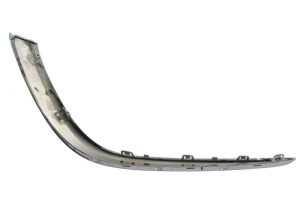 BLIC 5703-05-3555912P Trim/Protection Strip, bumper