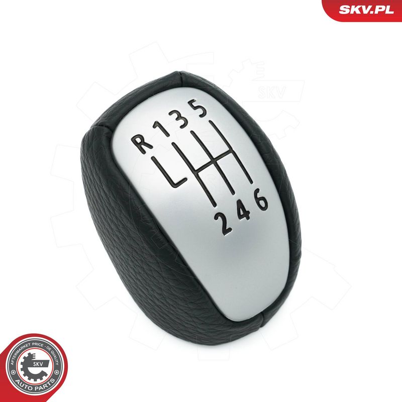 Käigukanginupp, ESEN SKV 63SKV507