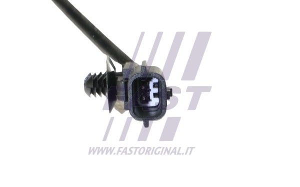 FT80270_4_1.JPG