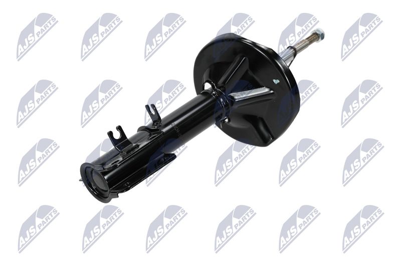 Amort, NTY A-CH-053