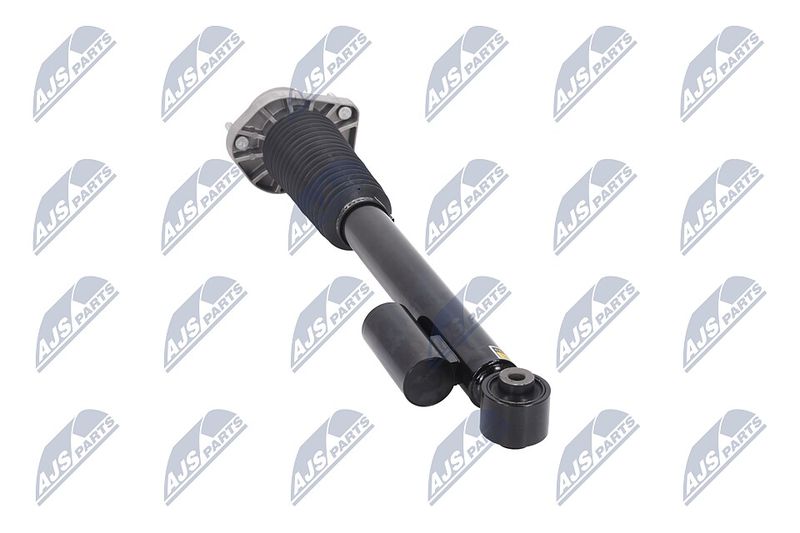 Amort, NTY A-LR-020
