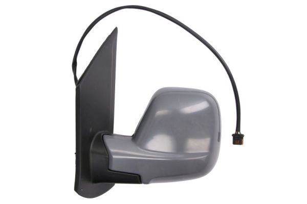 BLIC 5402-07-2491310P Exterior Mirror
