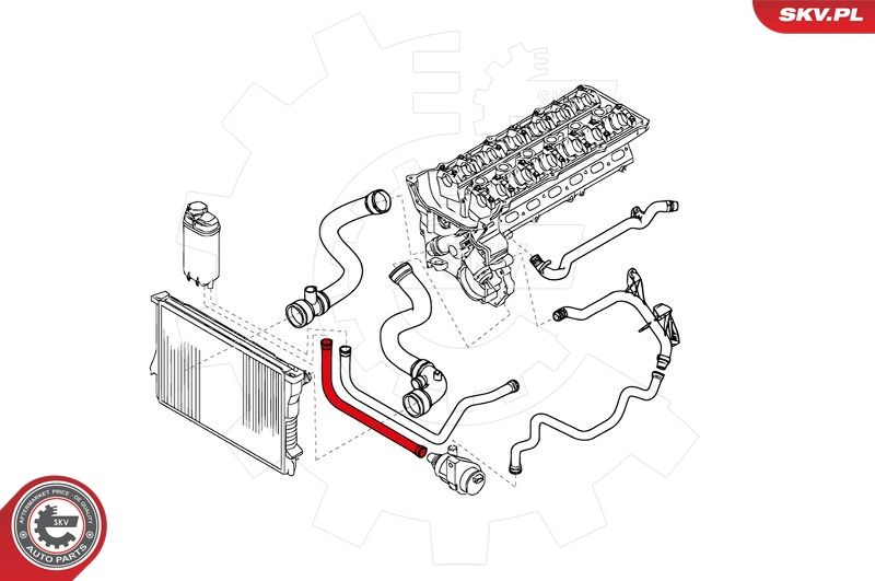 ESEN SKV 24SKV254 Radiator Hose