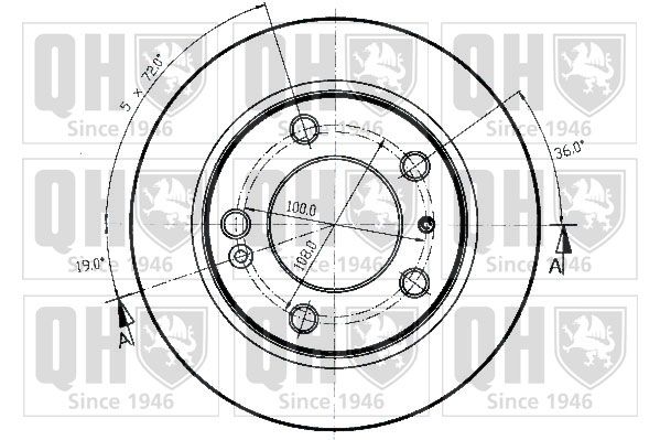 QH_BDC3725_2.JPG