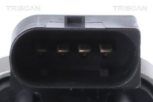 TRIS881323033_2.JPG