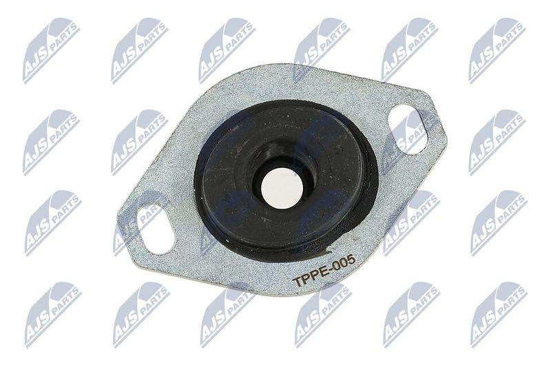 Paigutus, Mootor, NTY ZPS-PE-005