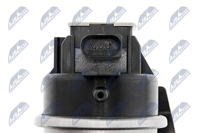 ecd-vw-009_5-wm.JPG