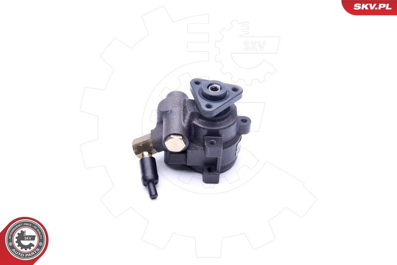 ESEN SKV 10SKV259 Hydraulic Pump, steering