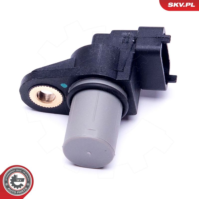 Andur, Nukkvõllipositsioon, ESEN SKV 17SKV496