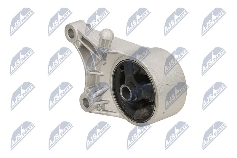 Paigutus, Mootor, NTY ZPS-PL-093