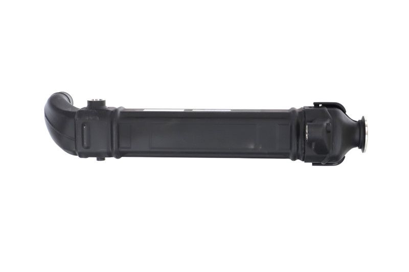 REMANTE 010-001-000025R EGR Module