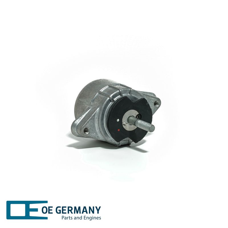 801387-1-V1-OEG.JPG