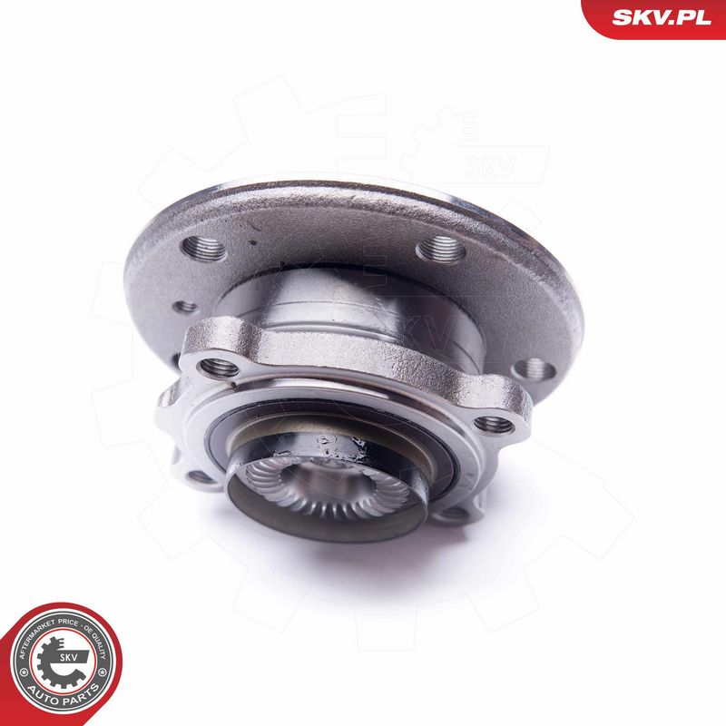 Rattalaagrikomplekt, ESEN SKV 29SKV173