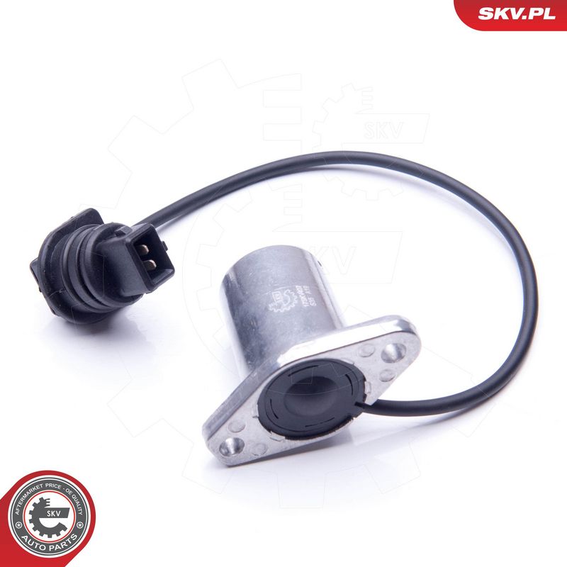 Andur, Mootoriõlitase, ESEN SKV 17SKV407