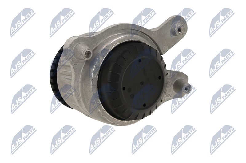 Paigutus, Mootor, NTY ZPS-ME-029