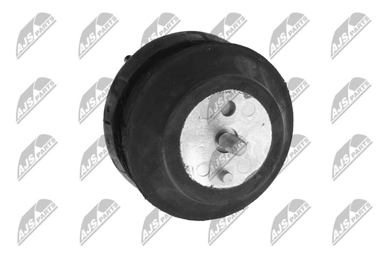 Paigutus, Mootor, NTY ZPS-CH-070