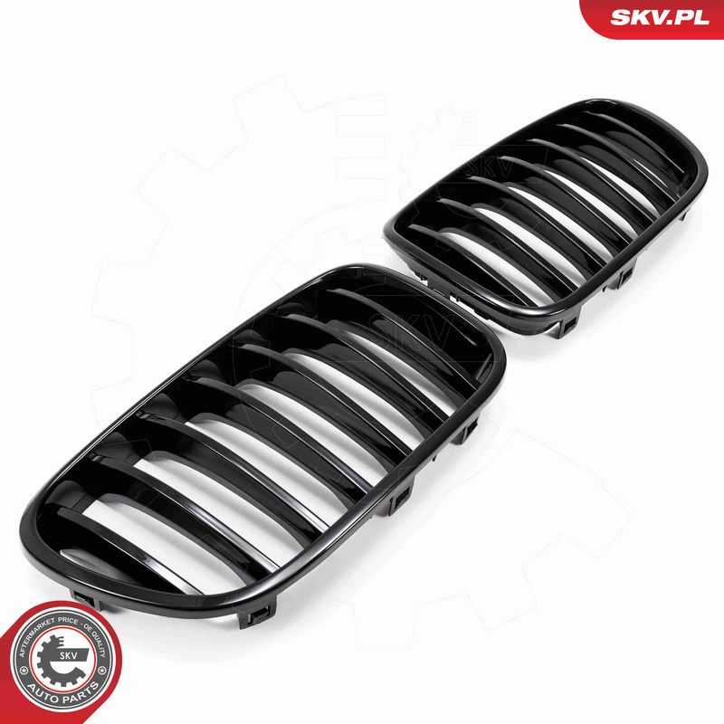 ESEN SKV 66SKV248 Radiator Grille