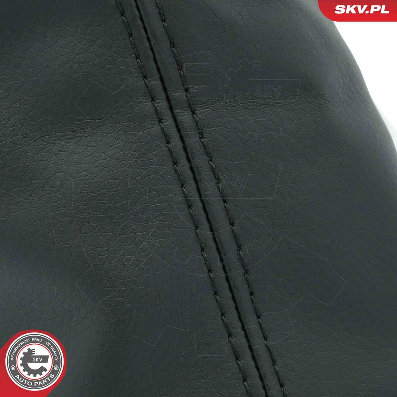 Käigukanginupp, ESEN SKV 63SKV489