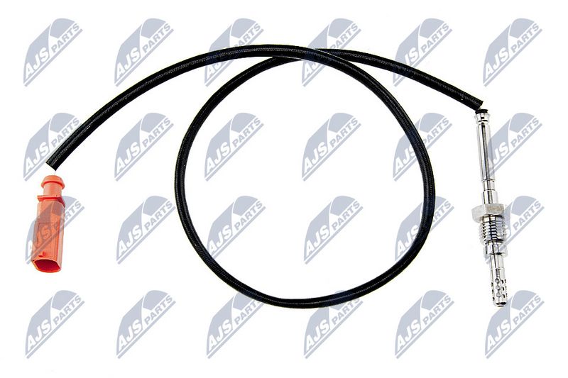 egt-vw-033_1-wm.JPG
