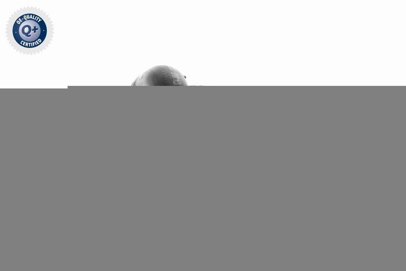 VAICO V24-0845 Radiator Hose