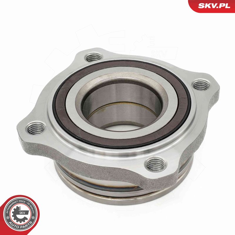 ESEN SKV 29SKV670 Wheel Bearing Kit