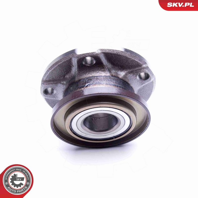 ESEN SKV 29SKV215 Wheel Bearing Kit