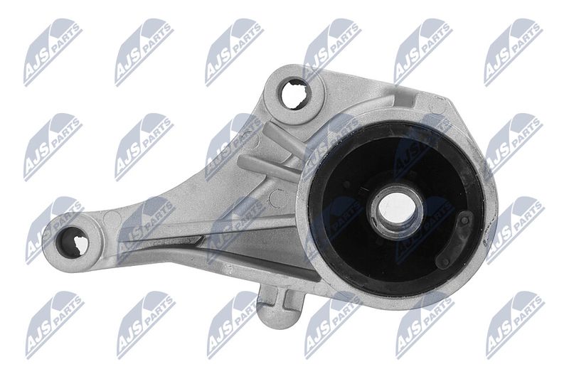 Paigutus, Mootor, NTY ZPS-PL-007