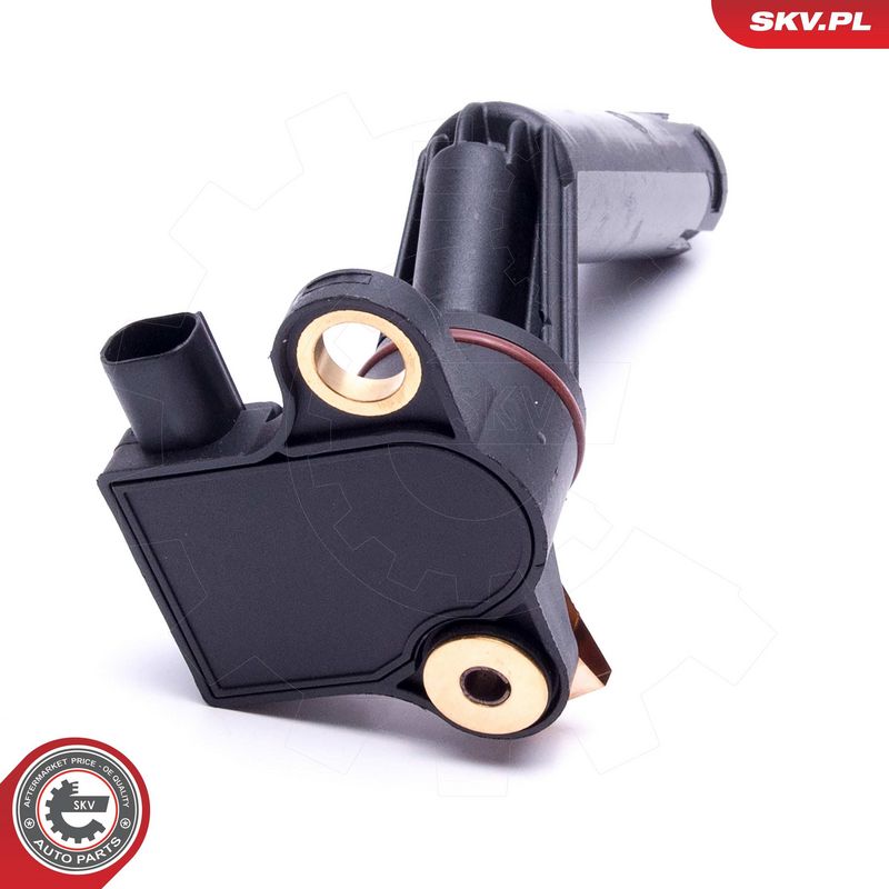 Andur, Mootoriõlitase, ESEN SKV 17SKV750