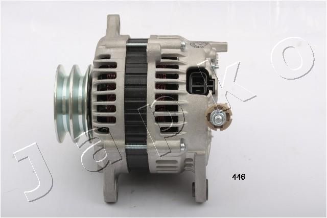 2D446_1.JPG