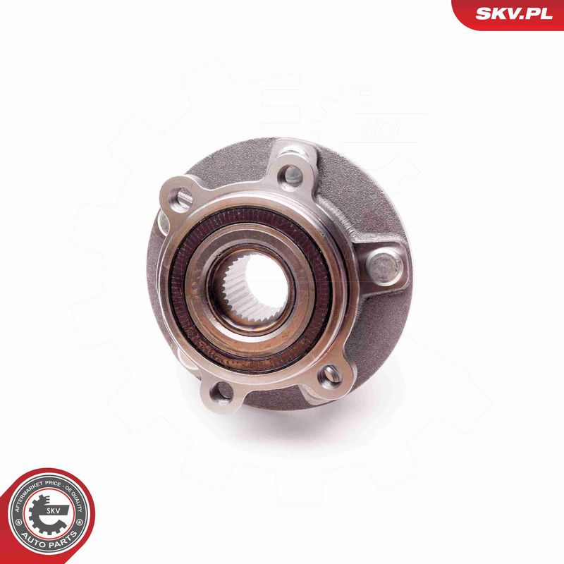 ESEN SKV 29SKV149 Wheel Bearing Kit
