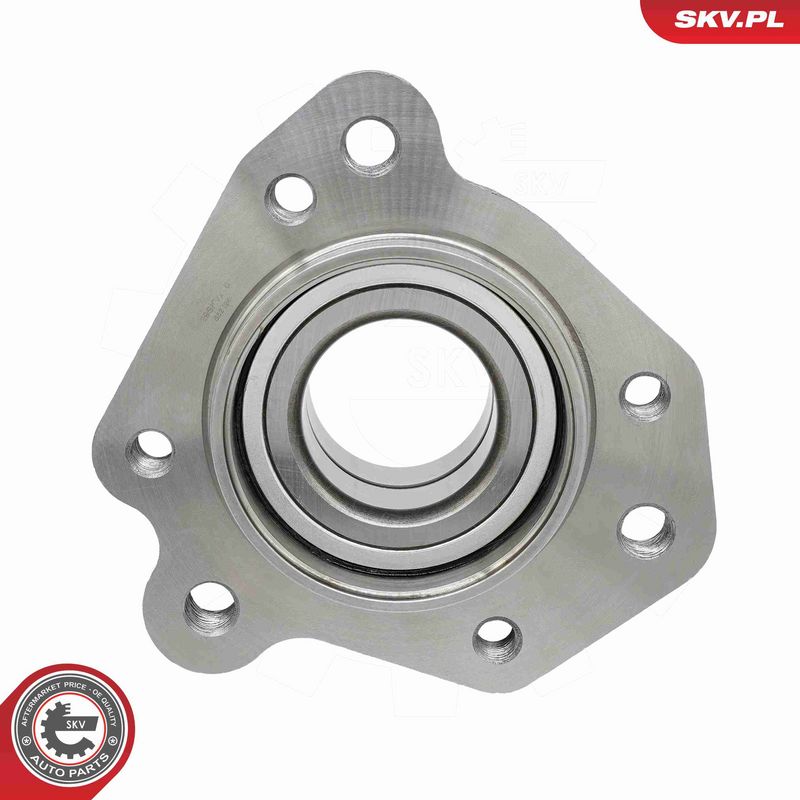 ESEN SKV 29SKV716 Wheel Bearing Kit