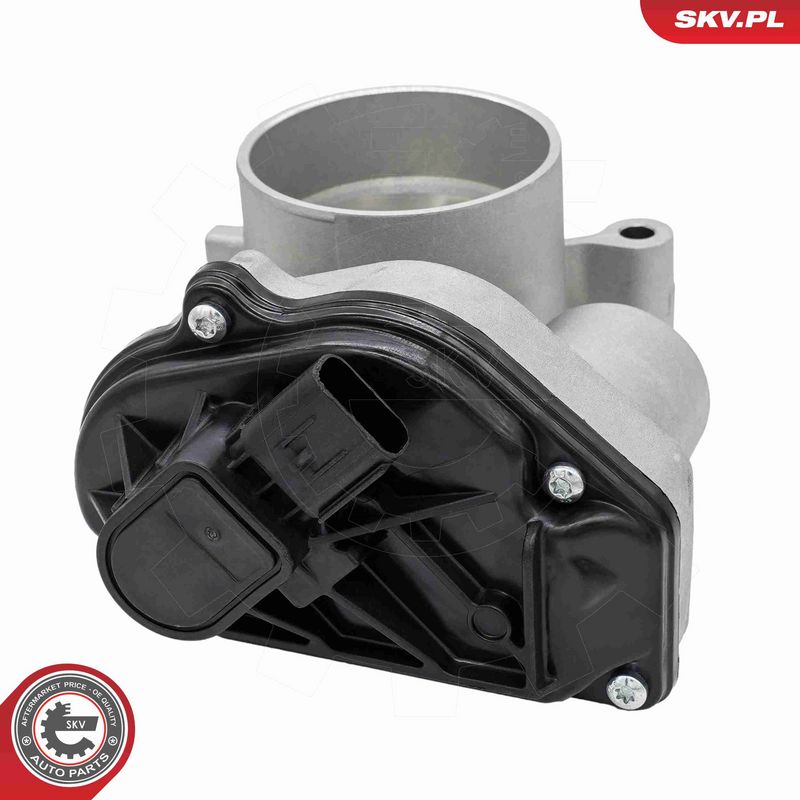 ESEN SKV 12SKV165 Throttle Body
