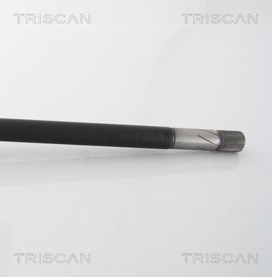 854029564_4.JPG