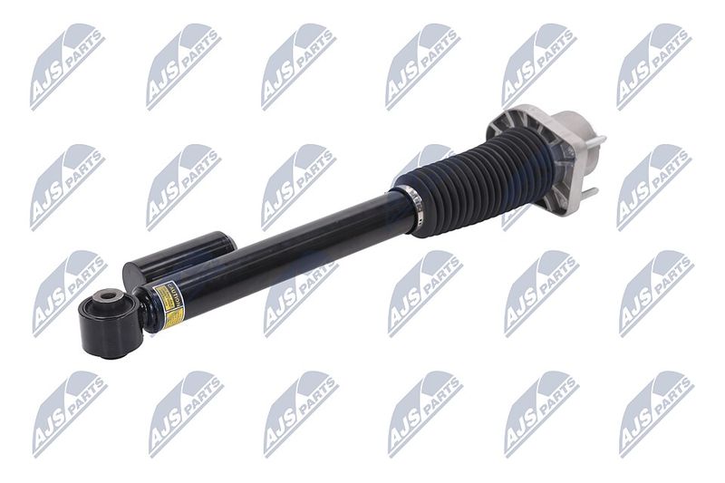 Amort, NTY A-LR-019