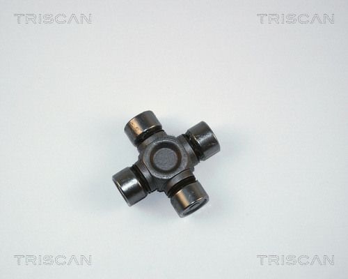 8540176.JPG