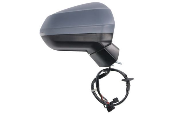 BLIC 5402-25-0067315P Exterior Mirror