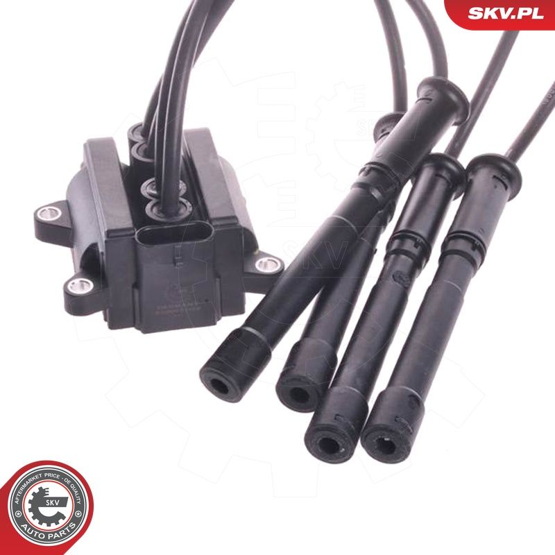 Süütepool, ESEN SKV 03SKV021