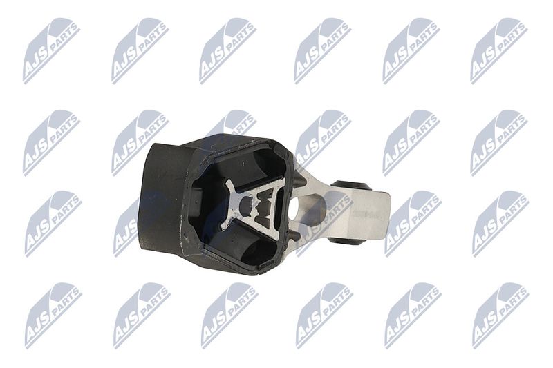 Paigutus, Mootor, NTY ZPS-PE-022