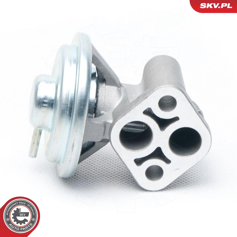 EGR-klapp, ESEN SKV 14SKV104