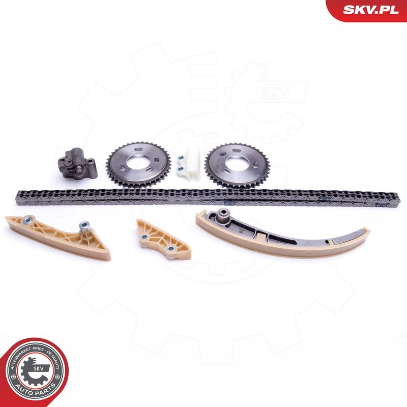 Mootori keti komplekt, ESEN SKV 21SKV245