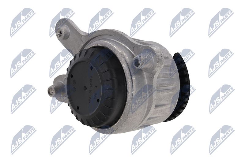 Paigutus, Mootor, NTY ZPS-ME-028