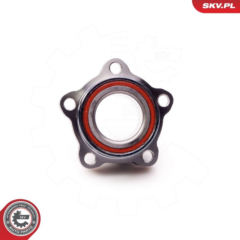 Rattalaagrikomplekt, ESEN SKV 29SKV064