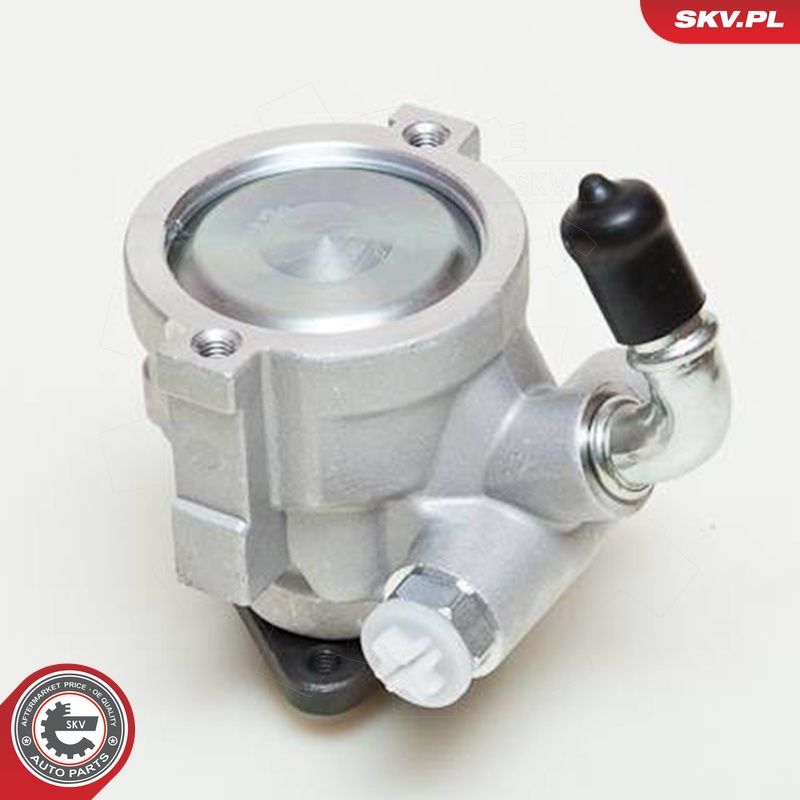 Hüdraulikapump, roolimine, ESEN SKV 10SKV061